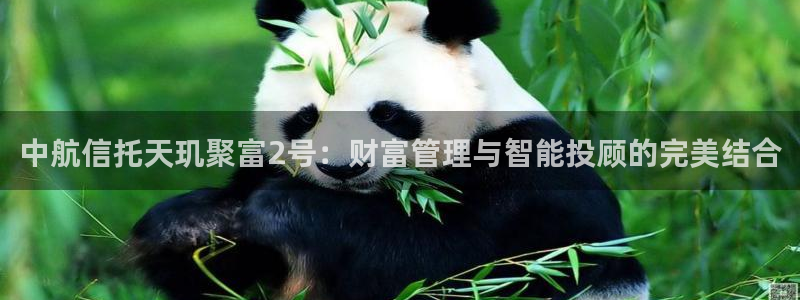 中航信托天玑聚富2号：财富管理与智能投顾的完美结合