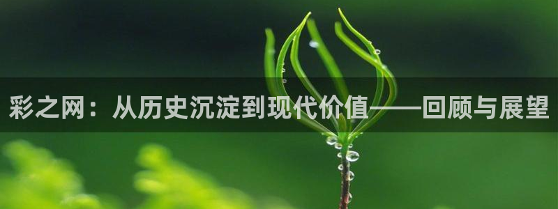 免费pg电子试玩：彩之网：从历史沉淀到现代价值——回顾与展望