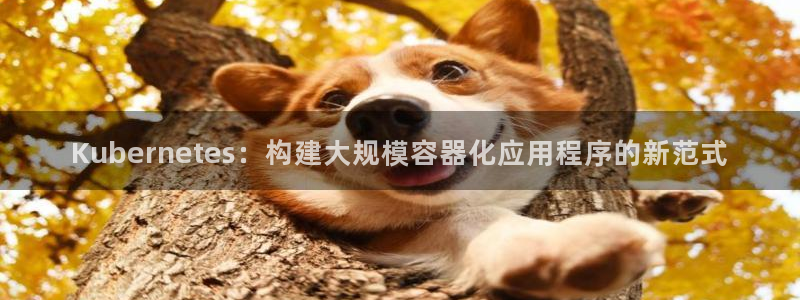 pg平台官网入口：Kubernetes：构建大规模容器化应用程序的新范式