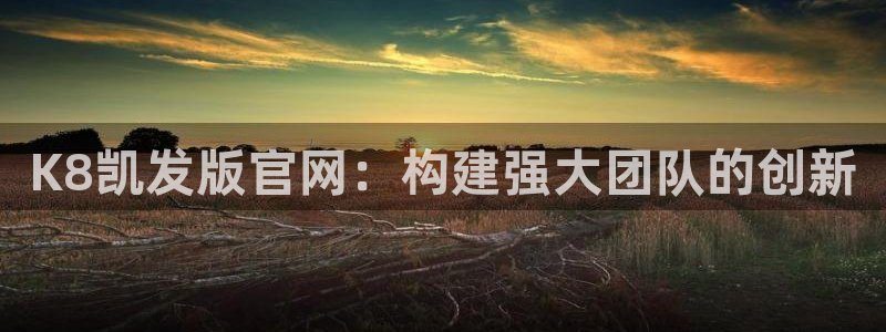 pg电子ng体育：K8凯发版官网：构建强大团队的创新