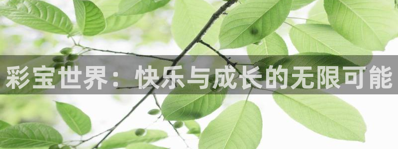pg赏金女王夺宝：彩宝世界：快乐与成长的无限可能