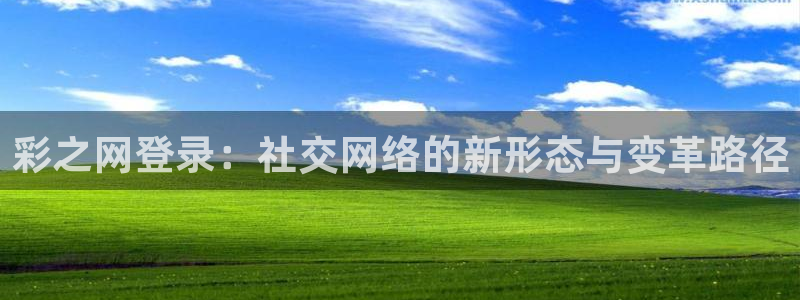 pg娱乐电子游戏：彩之网登录：社交网络的新形态与变革路径
