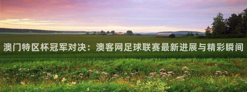 pg电子麻将胡了打法：澳门特区杯冠军对决：澳客网足球联赛最新进展与精彩瞬间