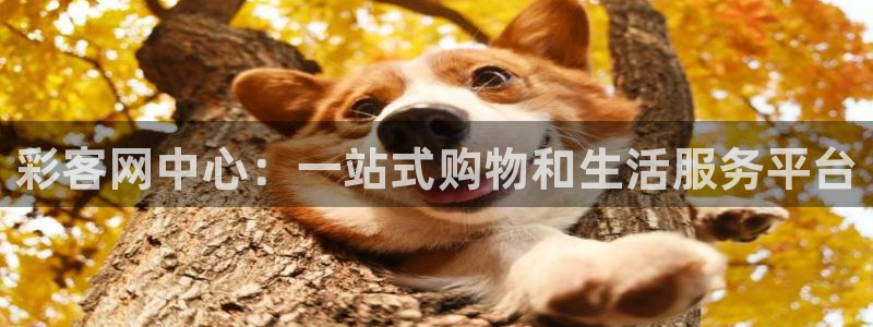 pg官方下载：彩客网中心：一站式购物和生活服务平台